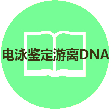 技(jì)術(shù)手冊：瓊脂糖凝膠電(diàn)泳鑒定遊離(lí)DNA